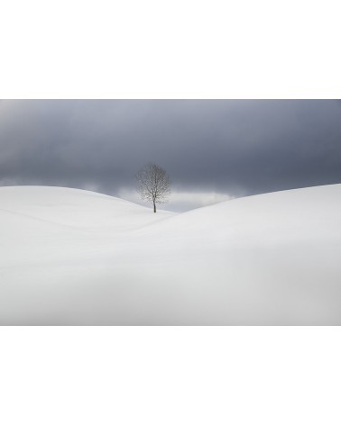 
Le solitaire - photographie Nicolas Gascard 

Ambiance minimaliste sur les hautes combes jurassiennes.